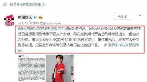 娱乐圈吃瓜爆料找谁举报,揭秘如何有效举报吃瓜信息